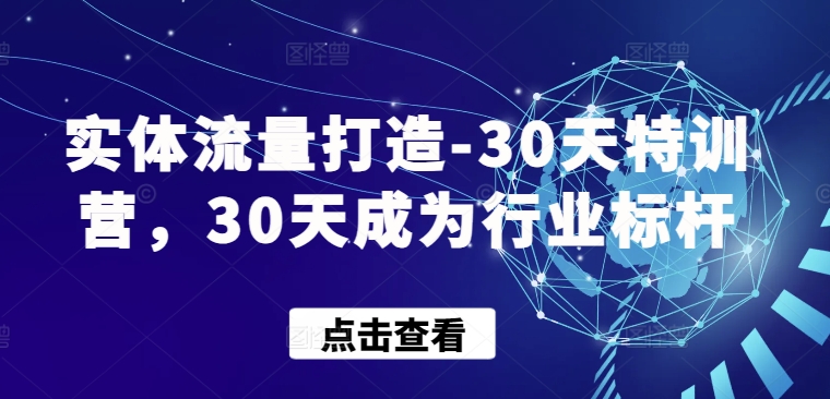 实体流量打造-30天特训营，30天成为行业标杆-91项目网