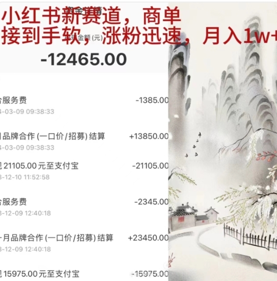 小红书新赛道，商单接到手软，涨粉迅速，一个月1w+-91项目网
