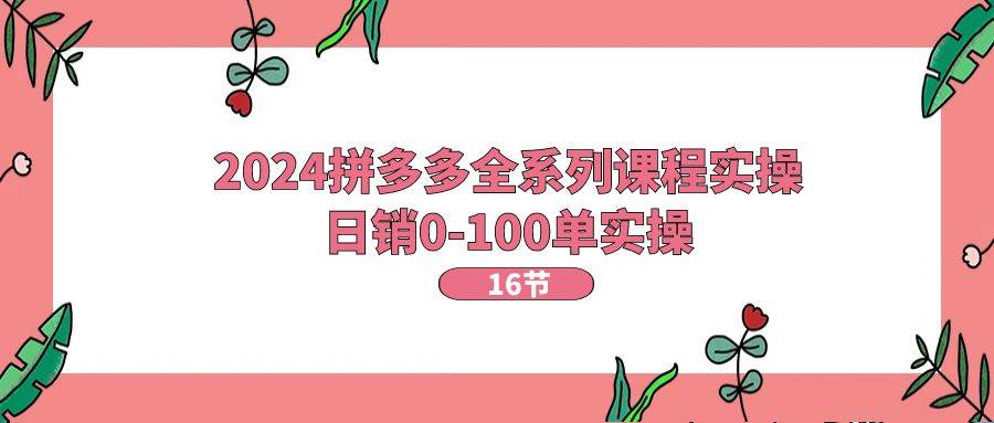2024拼多多全系列课程实操，日销0-100单实操【16节课】-91项目网