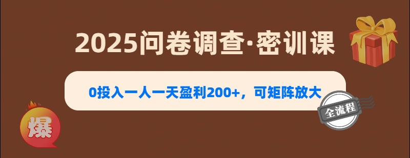 2025《问卷调查》0投入一人一天盈利200+，可矩阵放大-91项目网
