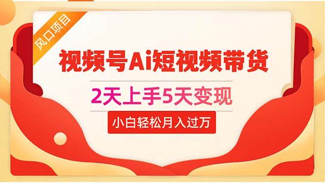 2天上手5天变现视频号Ai短视频带货0粉丝0基础小白轻松月入过万-91项目网