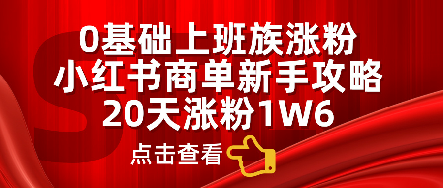 0基础上班族涨粉，小红书商单新手攻略，20天涨粉1.6w-91项目网