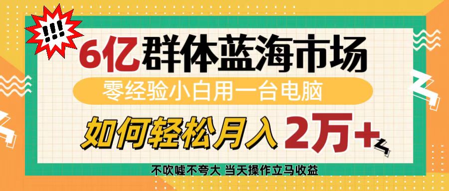 6亿群体蓝海市场，零经验小白用一台电脑，如何轻松月入2万+-91项目网