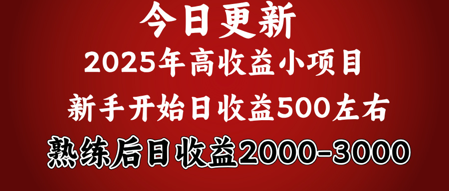 2025开年好项目，新手日收益500+ 熟练掌握后，日收益平均2000多-91项目网