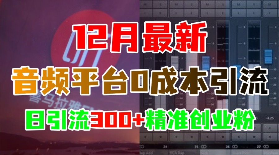 12月最新：音频平台0成本引流，日引300+精准创业粉-91项目网