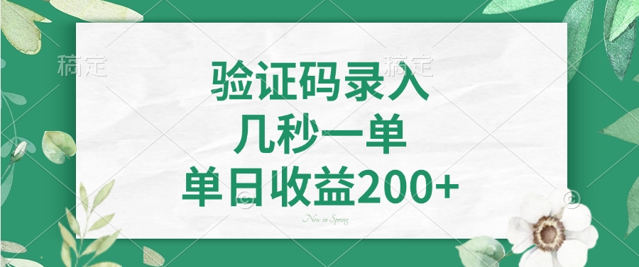 验证码录入，几秒一单，单日收益200+-91项目网