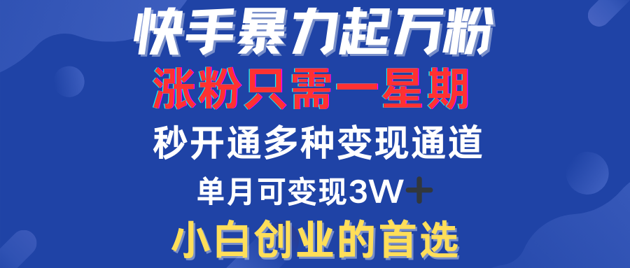 快手暴力起万粉，涨粉只需一星期！多种变现模式-91项目网