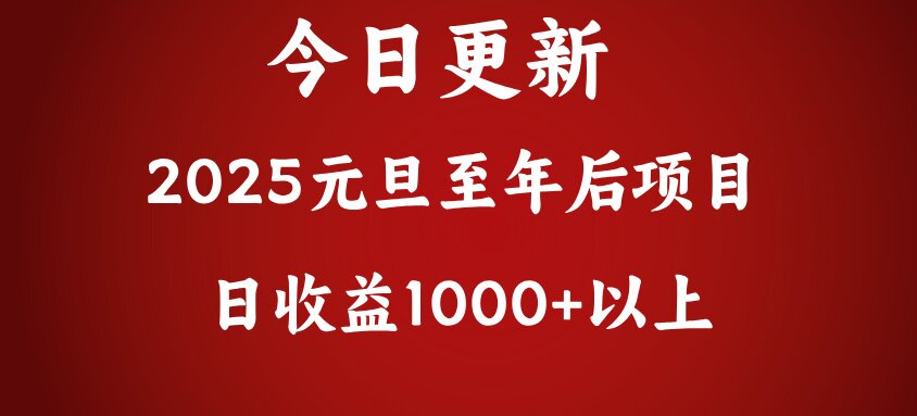翻身项目，日收益1000+以上-91项目网