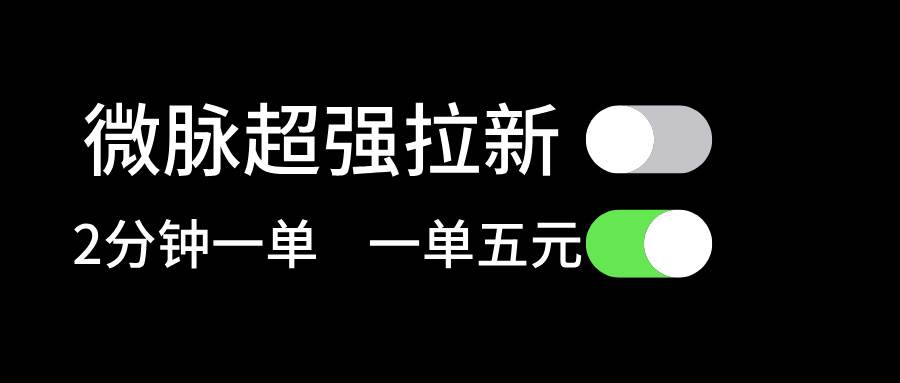 微脉超强拉新， 两分钟1单， 一单利润5块，适合小白-91项目网