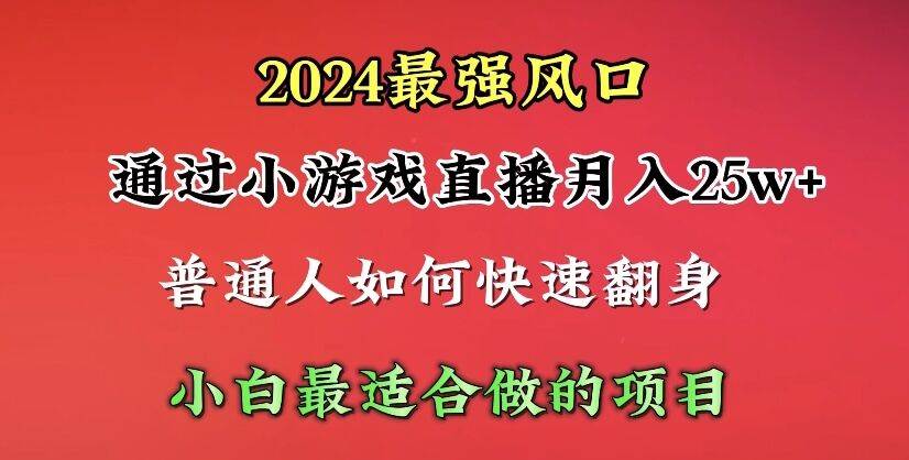 2024年最强风口，通过小游戏直播月入25w+单日收益5000+小白最适合做的项目-91项目网
