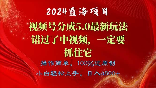 2024蓝海项目，视频号分成计划5.0最新玩法，错过了中视频，一定要抓住…-91项目网