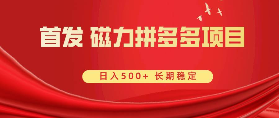 首发 磁力拼多多自撸  日入500+-91项目网
