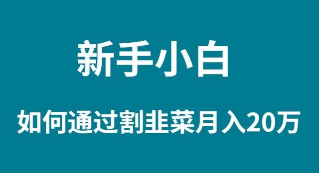 新手小白如何通过割韭菜月入 20W-91项目网