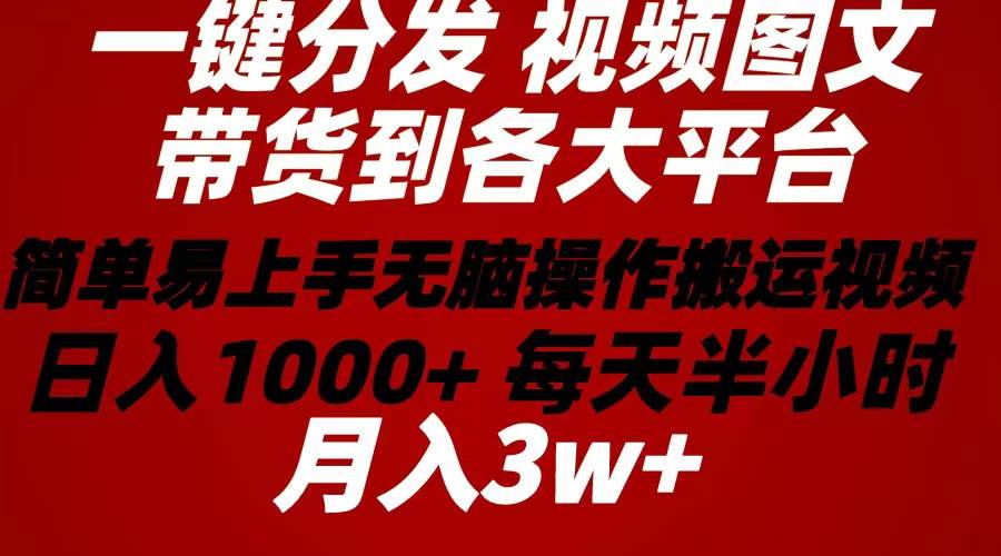2024年 一键分发带货图文视频  简单易上手 无脑赚收益 每天半小时日入1…-91项目网