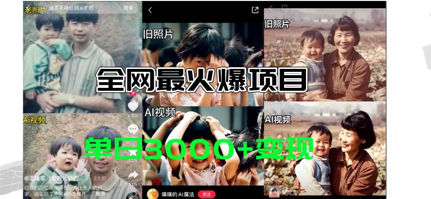 全网爆火的AI让老照片动起来教程，蹭热点日赚3000+，内含免费工具一键…-91项目网
