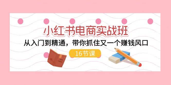 小红书电商实战班，从入门到精通，带你抓住又一个赚钱风口（16节）-91项目网