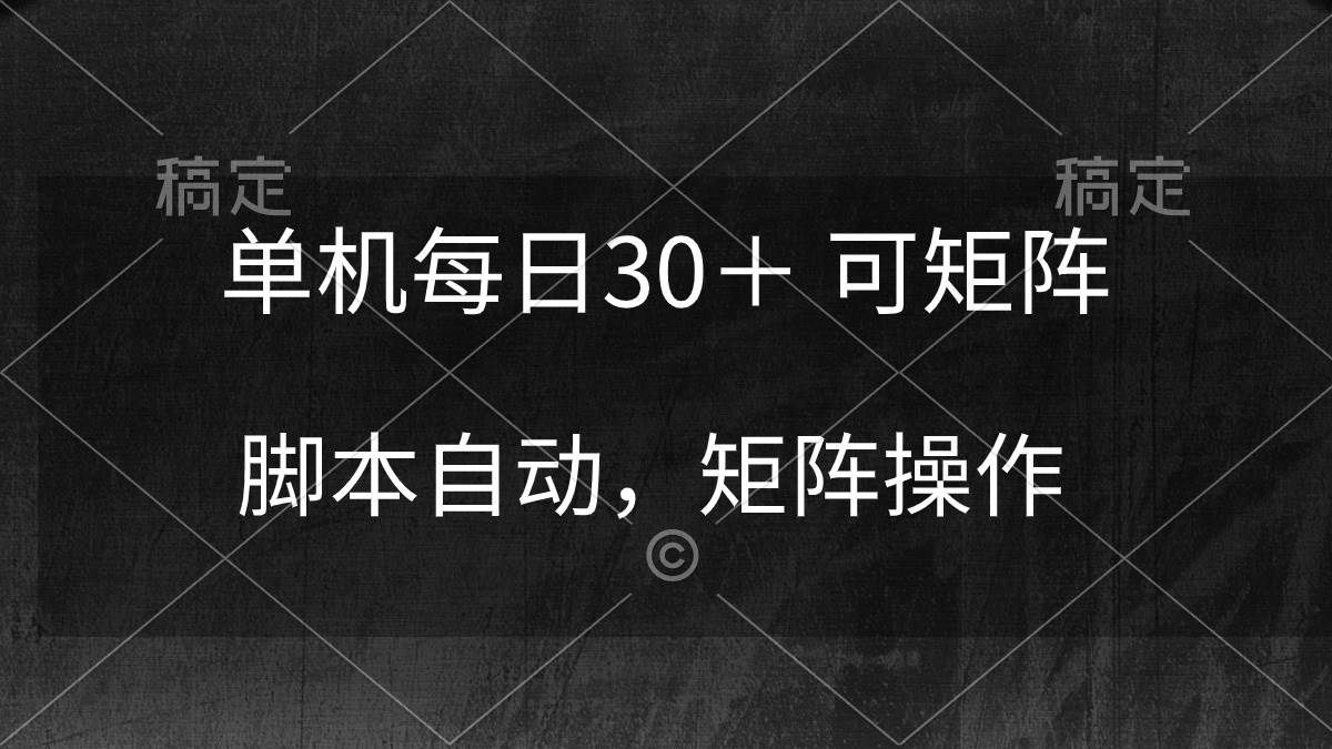 单机每日30＋ 可矩阵，脚本自动 稳定躺赚-91项目网