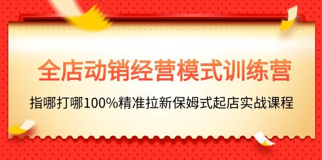 全店动销-经营模式训练营，指哪打哪100%精准拉新保姆式起店实战课程-项目网