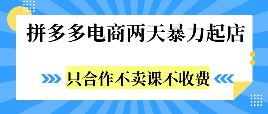 拼多多两天暴力起店，只合作不卖课不收费-项目网