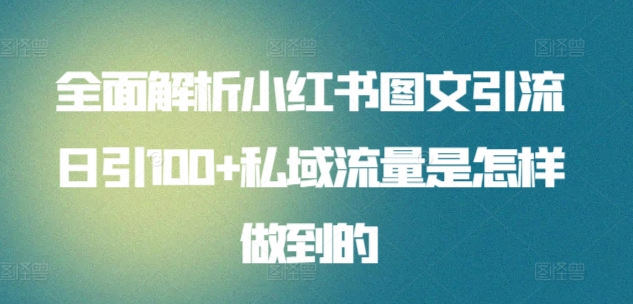 全面解析小红书图文引流日引100私域流量是怎样做到的-项目网