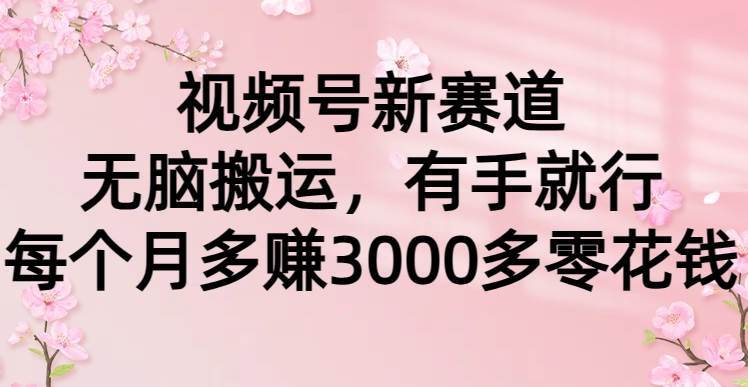 视频号新赛道，无脑搬运，有手就行，每个月多赚3000多零花钱-项目网