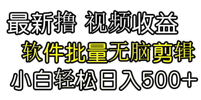 发视频撸收益，软件无脑批量剪辑，第一天发第二天就有钱-项目网