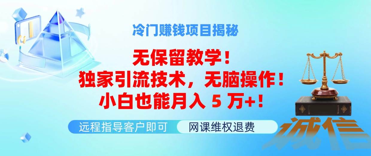 冷门赚钱项目无保留教学！独家引流技术，无脑操作！小白也能月入5万+！-项目网