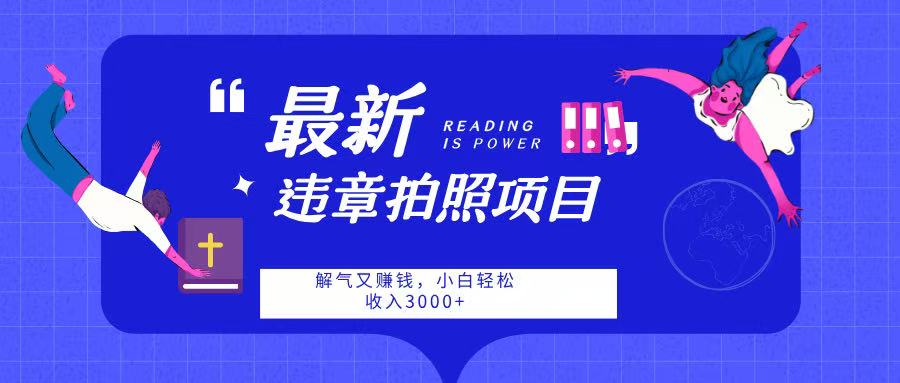 最新违章拍照项目，解气又赚钱，随手一拍，轻松收入3000-项目网
