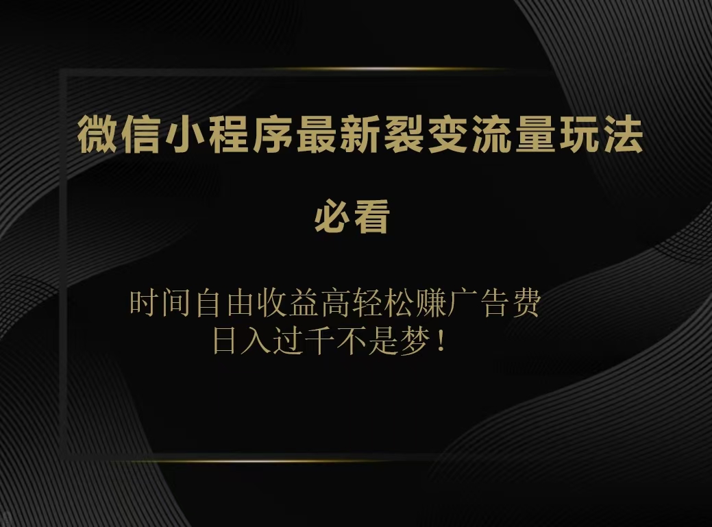 微信小程序最新裂变流量玩法，时间自由收益高轻松赚广告费，日入200-500+-项目网