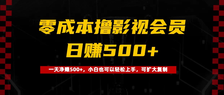 0成本撸影视会员，一天净赚500+，小白也可以轻松上手，可扩大复制-91项目网