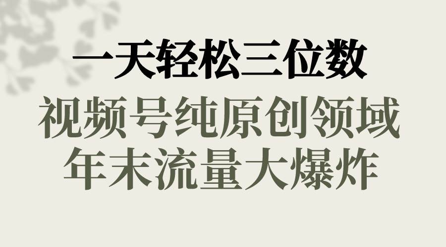 一天轻松三位数，视频号纯原创领域，春节童子送祝福，年末流量大爆炸-项目网