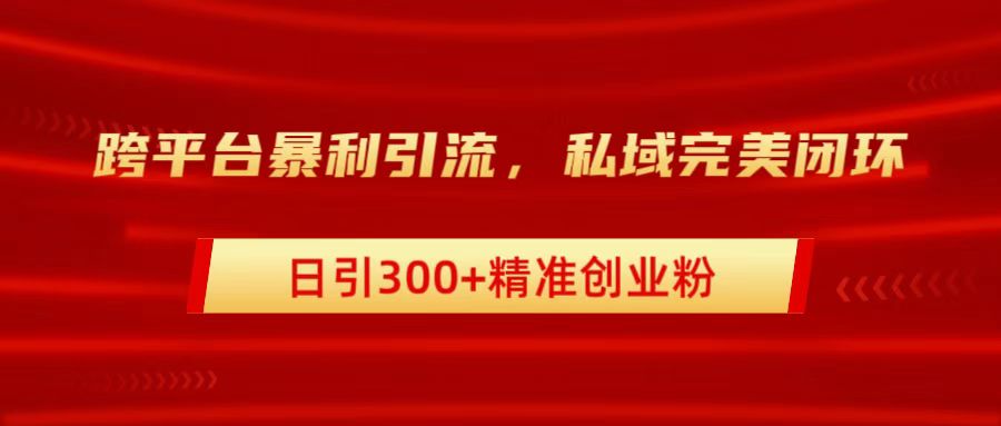 跨平台暴力引流，私域完美闭环，日引300+精准创业粉-项目网
