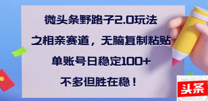 全网首发微头条野路子2.0玩法之相亲赛道，无脑搬砖复制粘贴，单账号日稳定300+保姆级教程-项目网