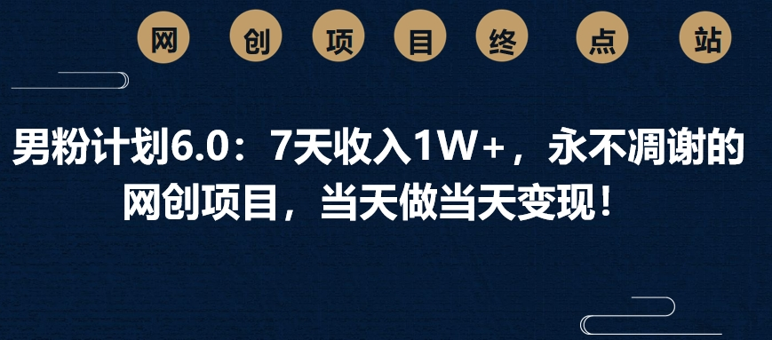 男粉计划6.0：7天收入1W+，永不凋谢的网创项目，当天做当天变现！-项目网