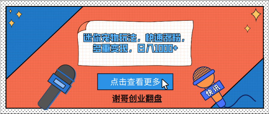 迷你宠物玩法，快速涨粉，多重变现，日入1000+-91项目网