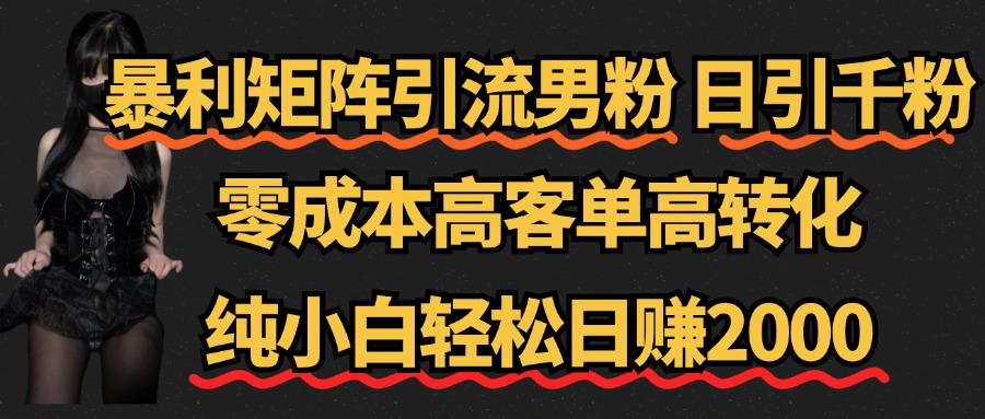 暴利矩阵引流男粉（日引千粉），零成本高客单高转化，纯小白轻松日赚2000+-项目网