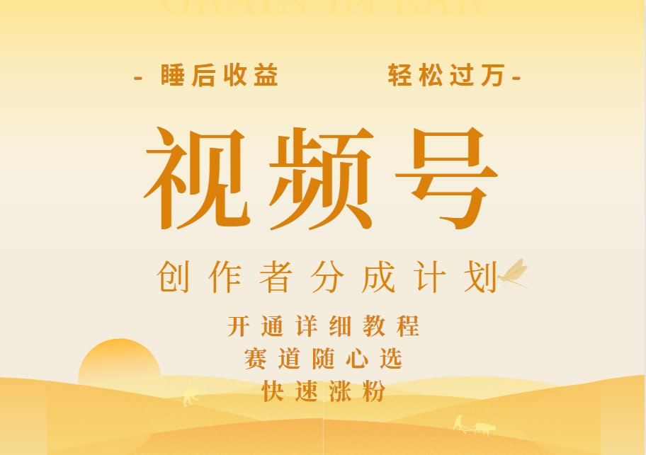 详解视频号创作者分成计划，暴力起号，可同步多平台，实现睡后收入2W+，看懂即可操作！-项目网