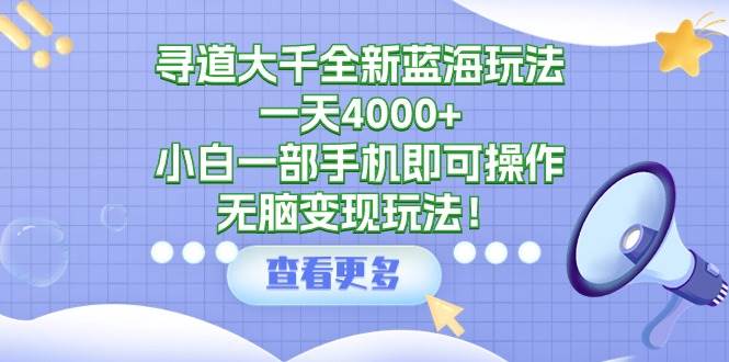 寻道大千全新蓝海玩法，一天4000+，小白一部手机即可操作，无脑变现玩法！-项目网