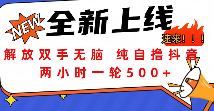 解放双手无脑 纯自撸抖音 两小时一轮500+-项目网