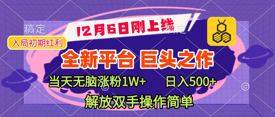 全新引流平台，巨头之作，当天无脑涨粉1W+，日入现500+，解放双手操作简单-项目网