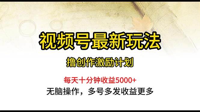 视频号最新玩法，每日一小时月入5000+-项目网