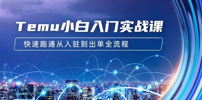 Temu小白入门实战课：跨境拼多多电商培训 快速跑通从入驻到出单全流程-12节-项目网