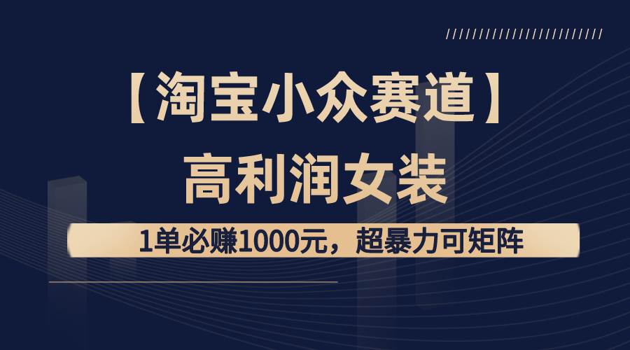 【淘宝小众赛道】高利润女装：1单必赚1000元，超暴力可矩阵-项目网