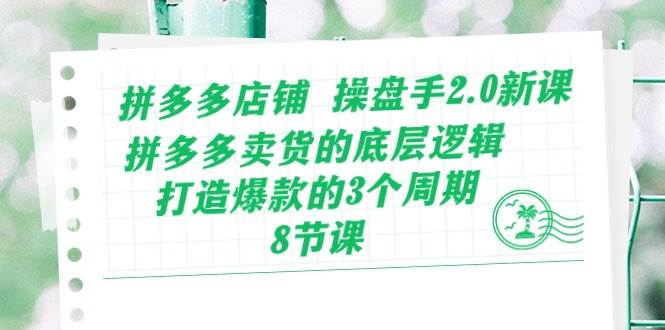 拼多多店铺 操盘手2.0新课，拼多多卖货的底层逻辑，打造爆款的3个周期-8节-项目网