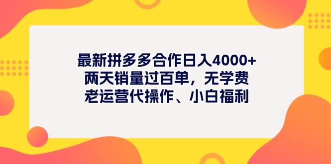 最新拼多多项目日入4000+两天销量过百单，无学费、老运营代操作、小白福利-项目网