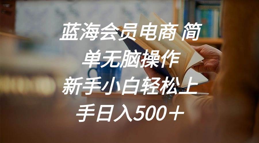 蓝海会员电商 简单无脑操作 新手小白轻松上手日入500＋-项目网