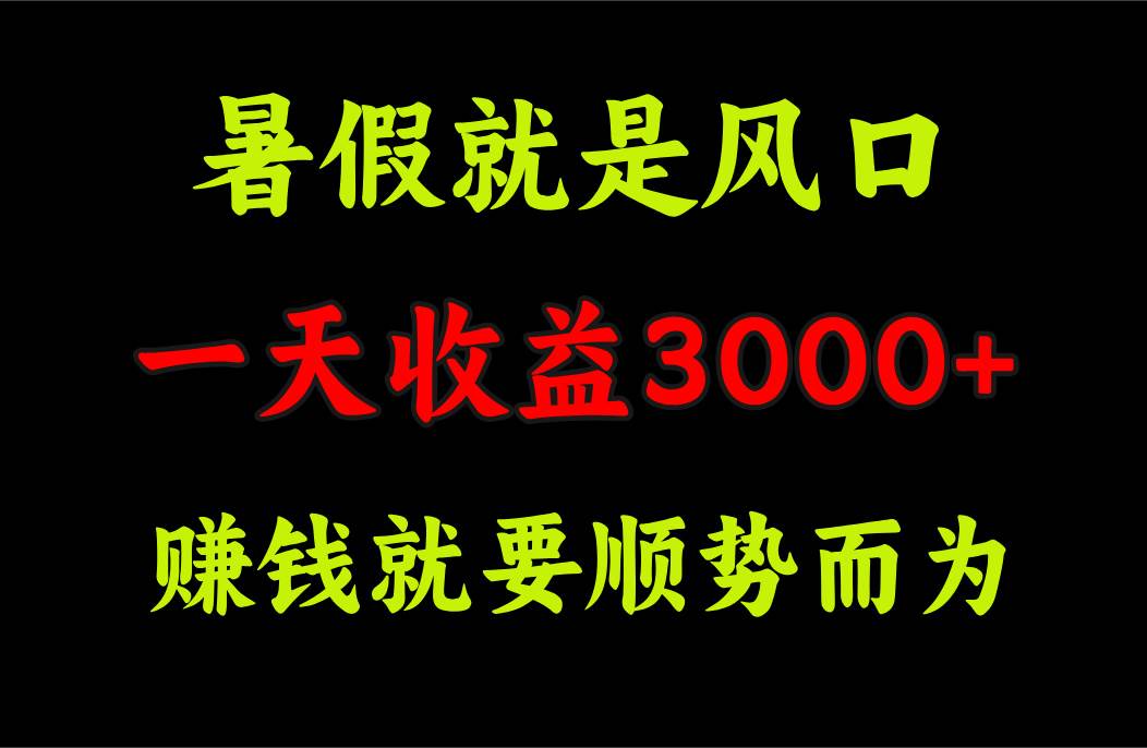 一天收益3000+ 赚钱就是顺势而为，暑假就是风口-项目网