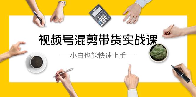 视频号-混剪带货实战课，小白也能快速上手（10节课）-项目网