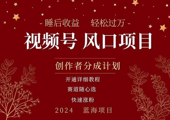 拥有睡眠收益的微信视频号大风口项目，轻松月入过万+，多赛道选择，可…-项目网
