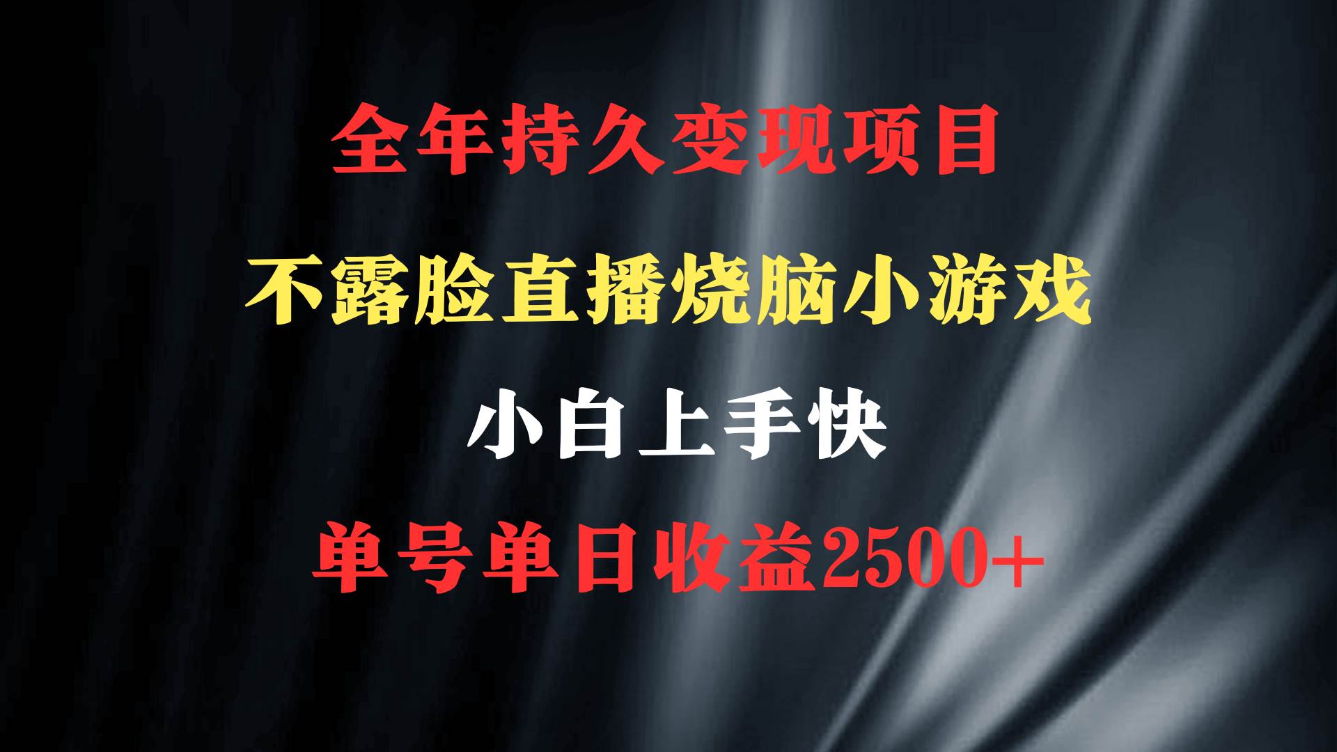 2024年 最优项目，烧脑小游戏不露脸直播  小白上手快 无门槛 一天收益2500+-项目网